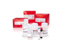 Lactate Dehydrogenase Activity Assay Kit - 500 Testes - Sigma